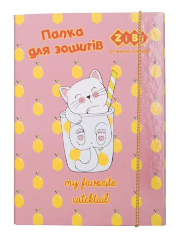 Папка для зошитів "CAPYBARA", картонна, на гумках В5+ , KIDS Line — Photo 1