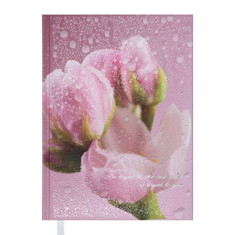 Щоденник недатов. POSH, A5, рожевий — Photo 1