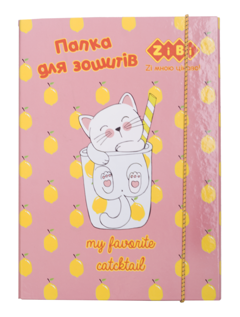 Папка для зошитів "CAPYBARA", картонна, на гумках В5+ , KIDS Line
